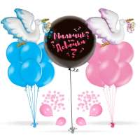 Сет из воздушных шаров Гендер Пати Аист Мальчик или Девочка (с шариками и конфетти) 15 шт 