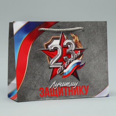 Пакет ламинат Лучшему защитнику 23*18*8 см 1 шт