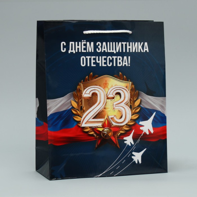 Пакет ламинат Защитник отечества 21*25*8 см 1 шт