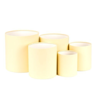 Коробка Тубус сливочный без крышки 12*12 см 1 шт