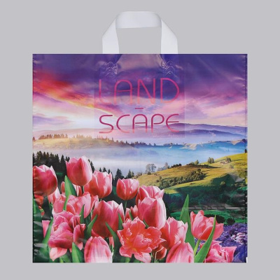 Пакет п/э Просторы 38*42 см 1 шт