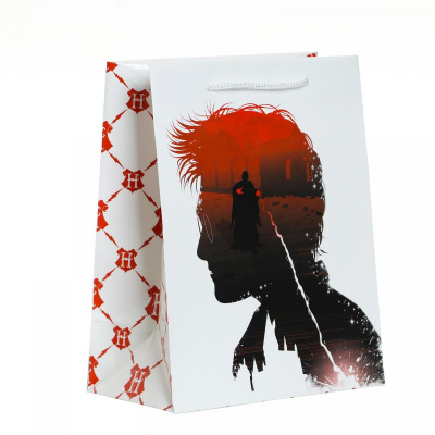 Пакет ламинат Гарри 18*22,7*10 см 1 шт