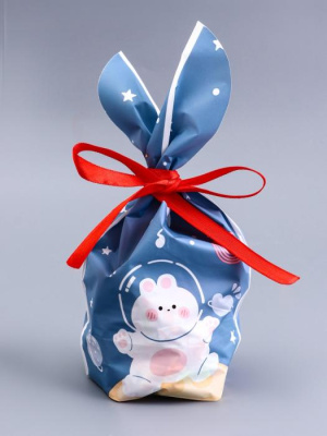 Пакет п/э с ушками Мишка на луне 13*23 см 1 шт