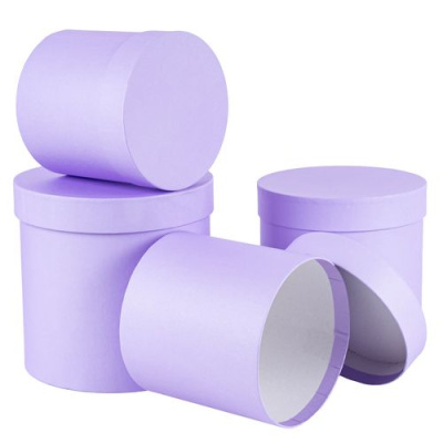 Коробка Тубус лаванда 20*20*20 см 1 шт Коробка Тубус лаванда 20*20*20 см 1 шт