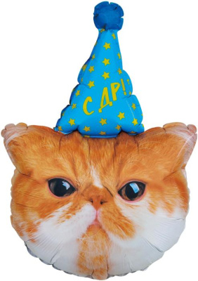 Шар фольга Фигура Котик в колпачке (FL)