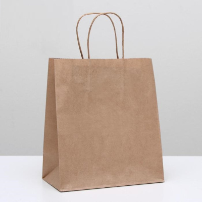 Пакет крафт 22*12*28 см 1 шт