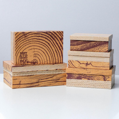 Коробка прямоуг Кто может все №4 28*18.5*11.5 см рис микс 1 шт