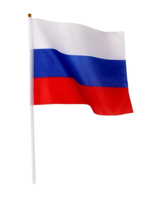 Флаг Россия 20*30 см 1 шт  