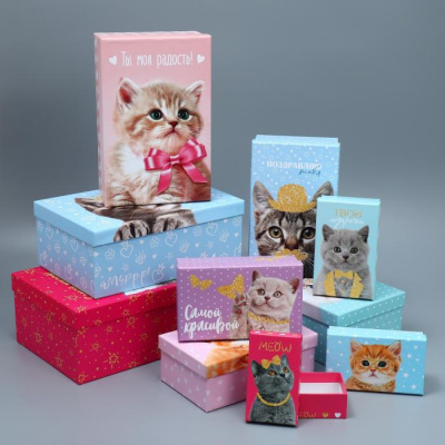Коробка прямоуг Котики №7 24*15,5*9.5 см рис микс 1 шт Коробка прямоуг Котики №7 24*15,5*9.5 см рис микс 1 шт